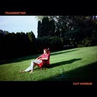 Cut Worms - Windows On The World