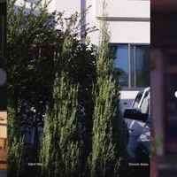 Shinichi Atobe - Silent Way