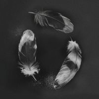 SLANDER - Free