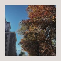 Anthony Gamazo - Fall Leaves