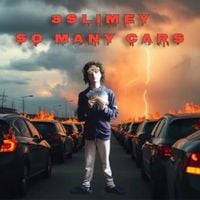 Lil Fucking Bitch - So Many Cars