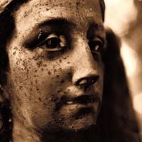 Elizabeth Anka Vajagic - Stand With the Stillness of This Day