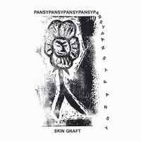 Pansy - Skin Graft
