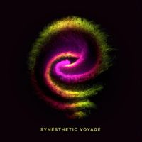 Void Pointer - Synesthetic Voyage