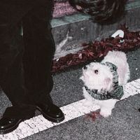 구름 [Cloud koh] - 冬に置いてきたもの