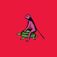 WAAN - We Want WAAN