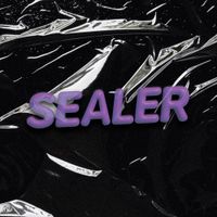 Sealer - Sealer