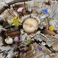 Golden Brown - In The Grove