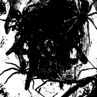 kilomade - arachnophobe