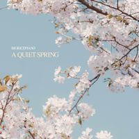 BigRicePiano - a quiet spring