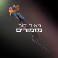 Guy Davidov - שירה בציבור
