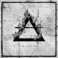 Anser - Anadysi