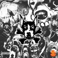 City Morgue - DAWG