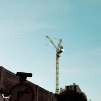 casual smart - cranes