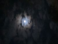 mayDIE - i <3 cloud rap