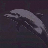 Dolphin2048 - Music To Shake To
