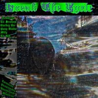 Bizofaus - Break the Cycle