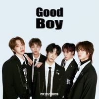 THE SSYNDROME - Good Boy