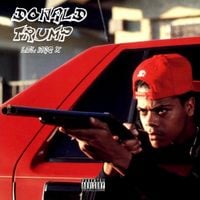 Lil Nas X - Donald Trump