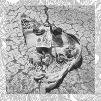 Radon Squad - POSIWID SAGA Capitolo Primo - CREPA