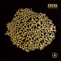 Erika - Hexagon Cloud
