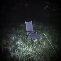 Planty X - Nocturnal Songs: Supplemental