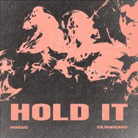 Maesic - Hold It