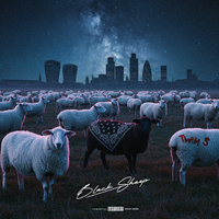 Twin S - Black Sheep