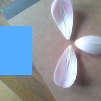 waera - notice