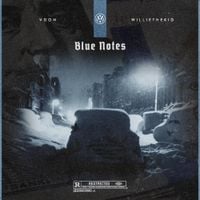 Willie The Kid & V Don - Blue Notes