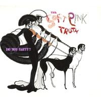 The Soft Pink Truth - Do You Party?
