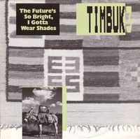 Timbuk 3 - The Future's So Bright, I Gotta Wear Shades