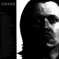 Swans - Failure / Animus