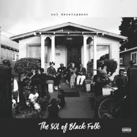 SOL Development - The SOL of Black Folk