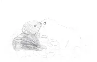 pinniped - you are my only forever