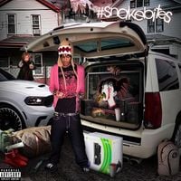 Diamondsonmydick - SNAKEBITES
