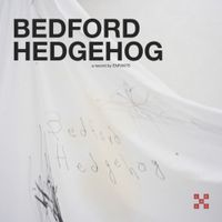Enfants - Bedford Hedgehog