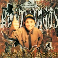 Raimundos - Lav&ocirc; T&aacute; Novo