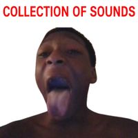Quasanos - COLLECTION OF SOUNDS