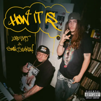 Lord Sko - How It Is