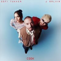 SOFI TUKKER - COOK