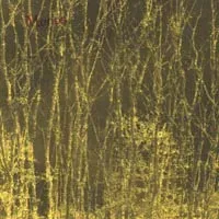 Monos - A Natural Discordance