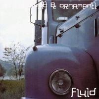 Adi Lukovac & Ornamenti - Fluid