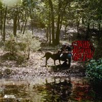 Zach Bryan - Plastic Cigarette