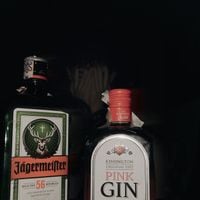Nacho Galvini - GIN & TONIC