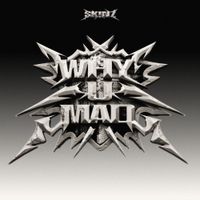 SKINZ - WHY U MAD