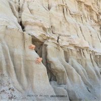 Patrick Belaga - Groundswell