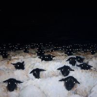 Nat Lefkoff - There You Are