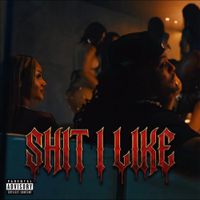 Waka Flocka Flame - Shit I Like