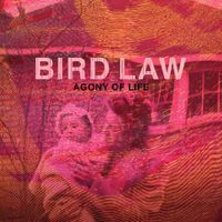 Bird Law - Agony of Life